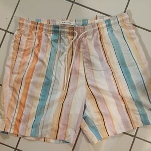 PacSun Multicolor Striped Athletic Shorts